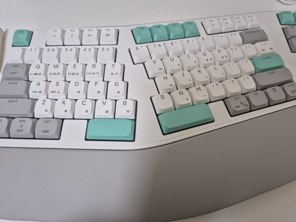 손목 통증 완화에 도움을 주는 인체공학 키보드 외관 사진